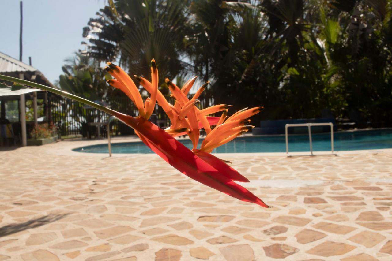 Hotel Playa Westfalia Puerto Limon Ngoại thất bức ảnh