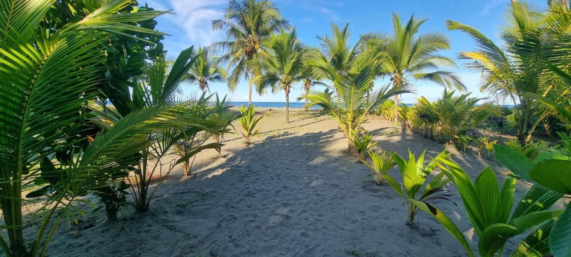 Hotel Playa Westfalia Puerto Limon Ngoại thất bức ảnh